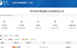 上海网站建设与SEO推广成功案例 某科技公司的数字化转型之路